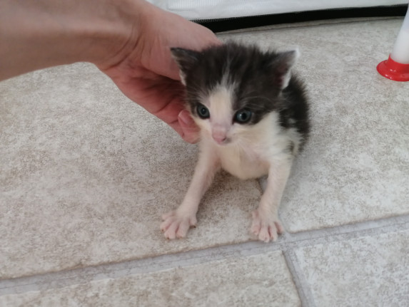 #40 is looking for a family