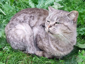 N49 ищет семью! N49 ищет семью!