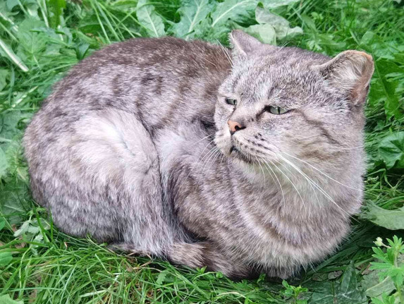 N49 ищет семью! N49 ищет семью!