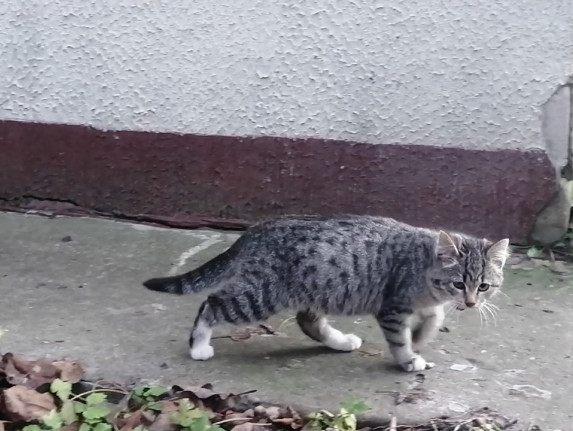 N50 ищет семью! N50 ищет семью!