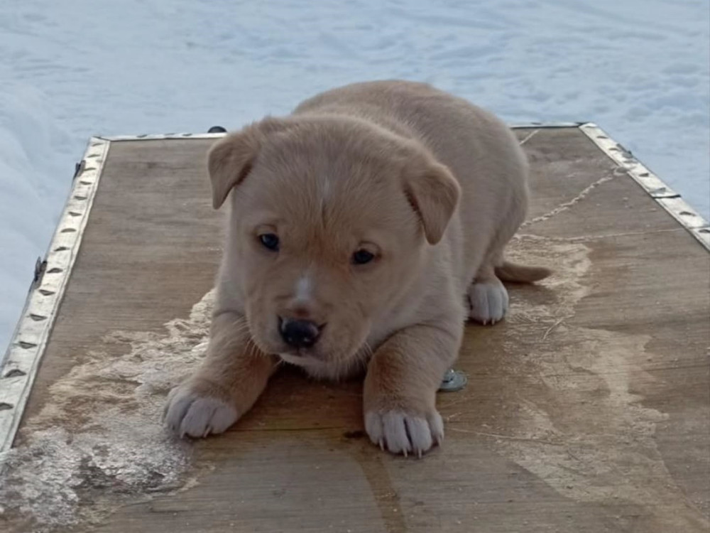 #58 is looking for a family!