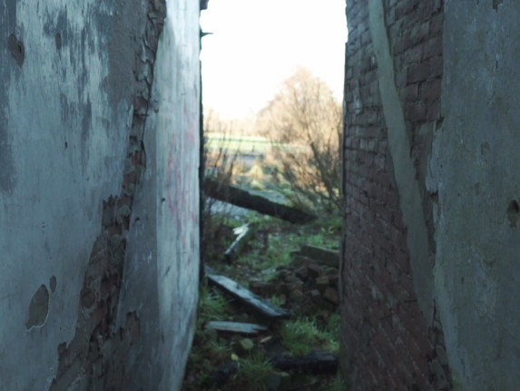 Купіць BuslikDrev - Стена Купіць BuslikDrev - Стена