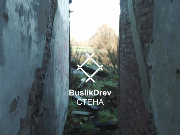 Buy "BuslikDrev - Стена"