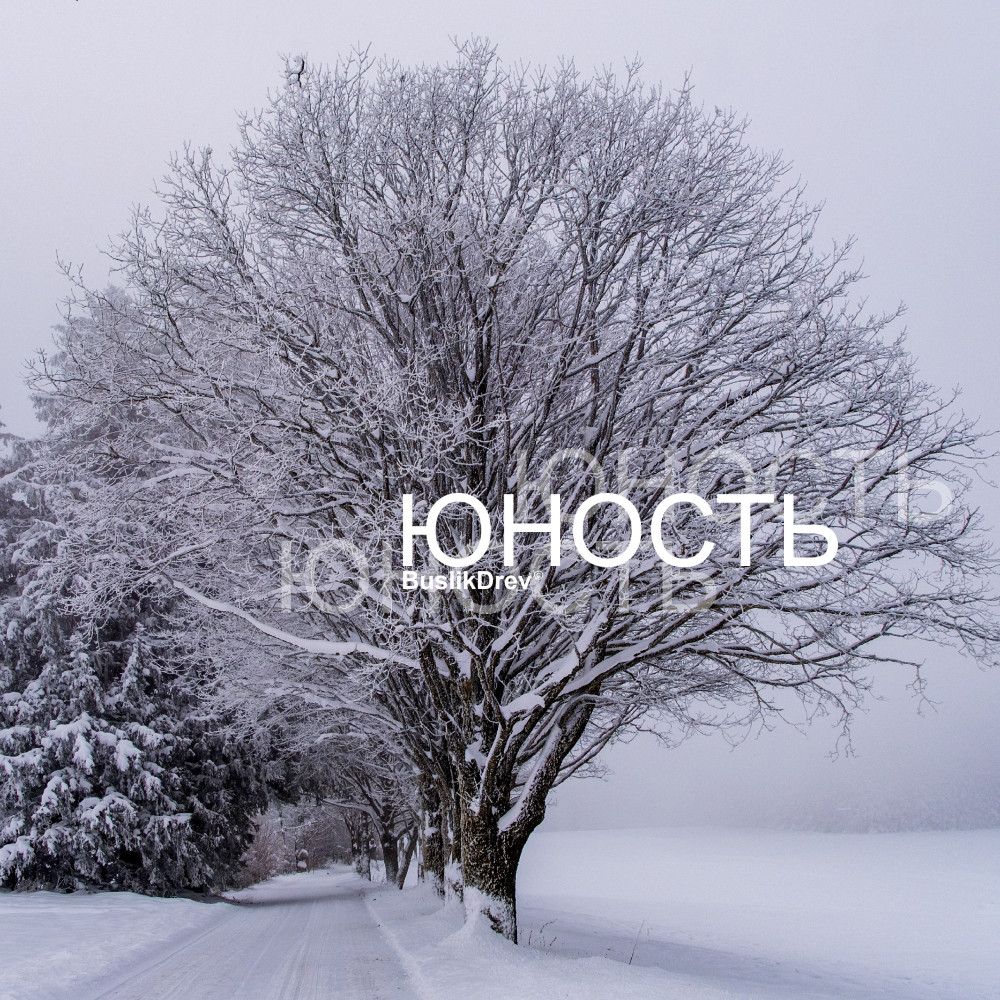 Исключительные права на музыкальную композицию: "BuslikDrev - Не всё вечно" Исключительные права на музыкальную композицию: "BuslikDrev - Не всё вечно"