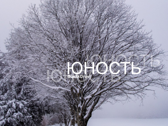 Buy "BuslikDrev - Не всё вечно"