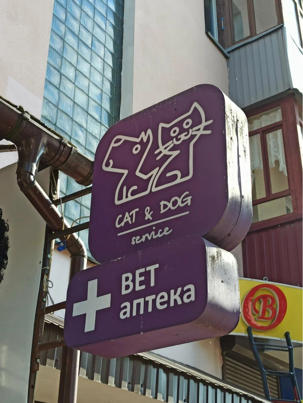 Ветеринарная клиника Гомеля и Гомельского района "Cat&Dog Service" [закрыто навсегда]