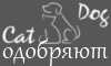 CatDog одобряет!